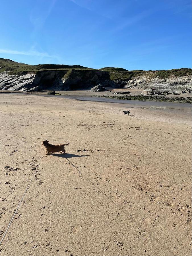 Atlantic Lodge Newquay  Bagian luar foto
